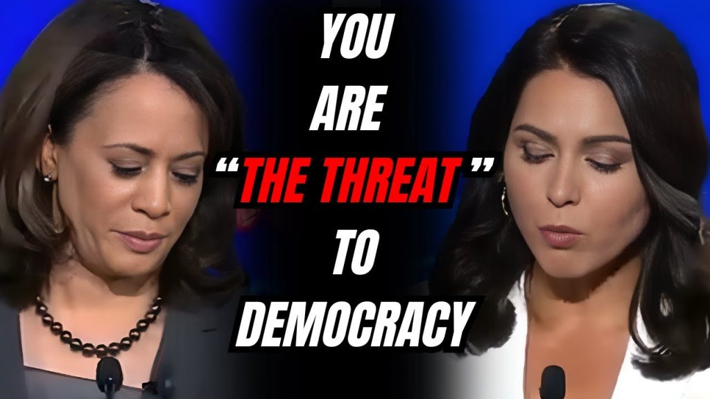 The Time Tulsi Gabbard OBLITERATED Kamala Harris In Front of The WORLD