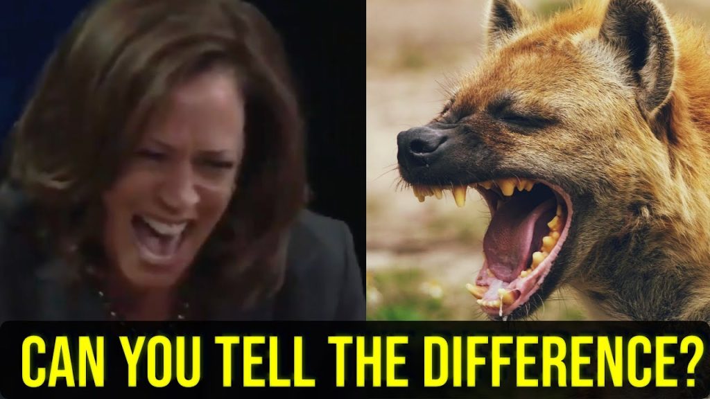 See Why Kamala Would Be the Most Cringe Candidate Pick Ever