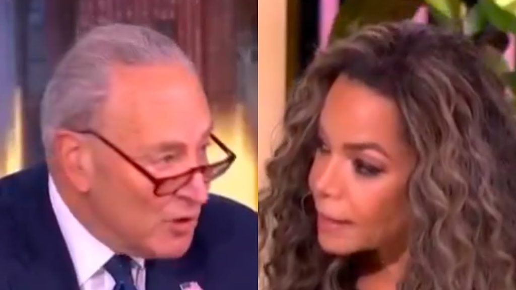 Sunny Hostin Just ROASTS Chuck Schumer Right to His Face on Live TV