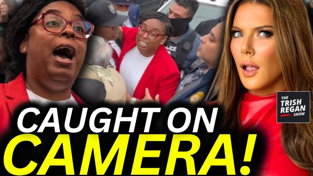 WATCH: NJ Lawmaker Caught Allegedly BODY-SLAMMING ICE Agents? !Investigation in ‘LaMonica’ Begins