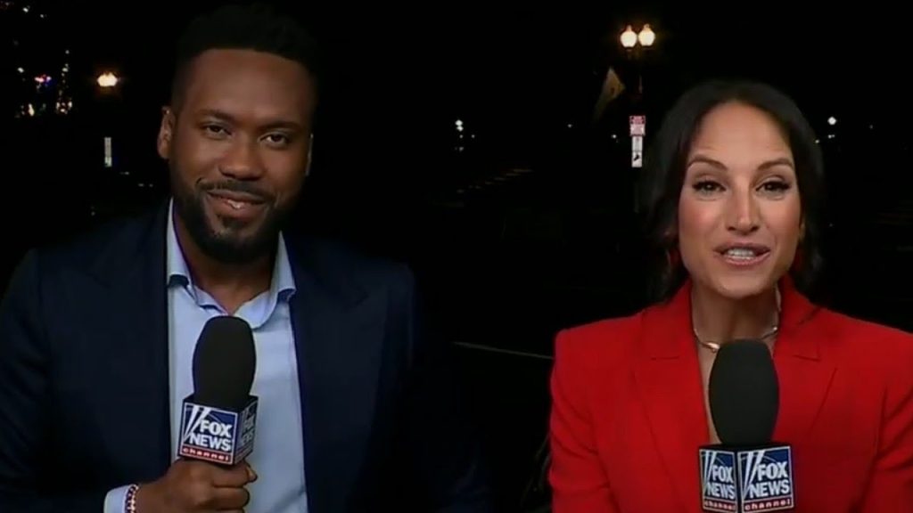 Fox News Guest ‘Kicked Off’ Show After Appearing Drunk on Live TV