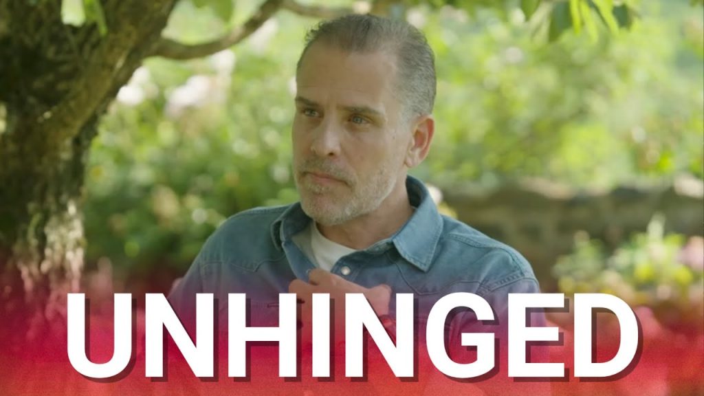 Hunter Biden unleashes on Democrats in ‘unhinged rant’