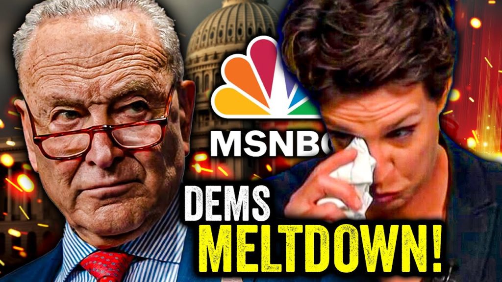 MSNBC LOSES THEIR MINDS as Humiliated Schumer CAVES!!!