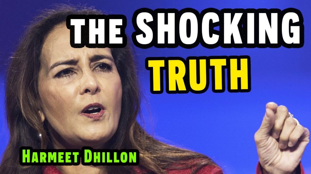 Hermeet Dhillon CANCELS Right-Wing Influencers PAID to Mislead You!!!