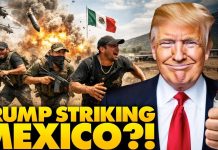 Trump SHOCKS World: Announces US Military Strikes On MEXICO, Declares WAR Against Cartels: ‘To Hell… Trump SHOCKS World: Announces US Military Strikes On MEXICO, Declares WAR Against Cartels: ‘To Hell…
