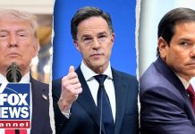 NATO ‘SCRAMBLING’ after ignoring drone threat NATO 'SCRAMBLING' after ignoring drone threat