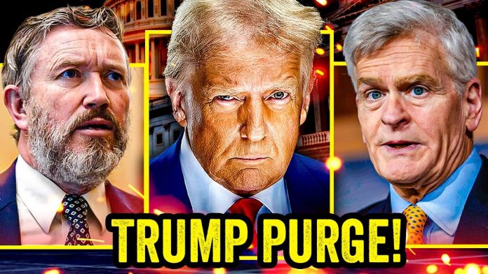 RINO Bill Cassidy CRUSHED in Primary as Trump Sends SHOCKWAVES through GOP!!!